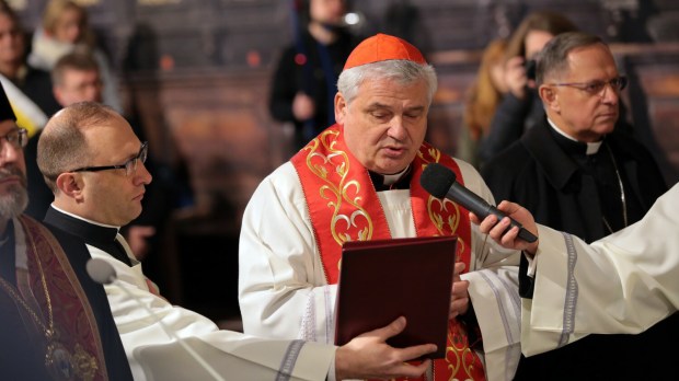 Cardinale Konrad Krajewski in Ucraina